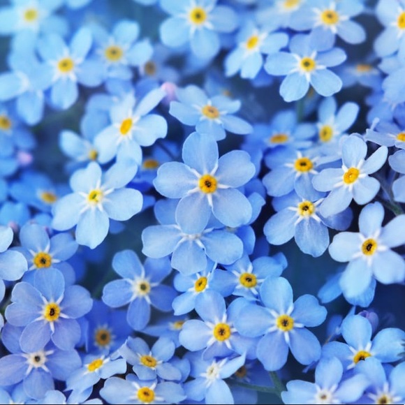 Meet your Posher, Glad - Picture 1 of 1